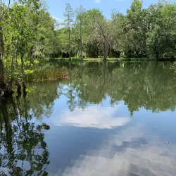Mead Garden - Plainsboro