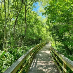 Mead Garden - Plainsboro