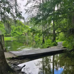 Mead Garden - Plainsboro