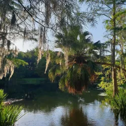 Mead Garden - Plainsboro