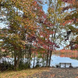 Plainsboro Community Park - Plainsboro