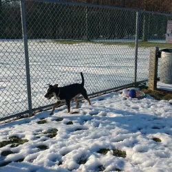 Plainsboro Community Park - Plainsboro