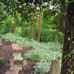 Plainsboro Historical Society Museum - Plainsboro