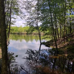 Plainsboro Preserve Nature Center - Plainsboro