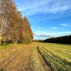 Plainsboro Preserve Nature Center - Plainsboro