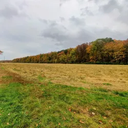 Plainsboro Preserve Nature Center - Plainsboro