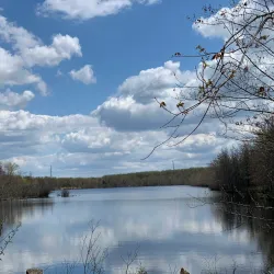 Plainsboro Preserve Nature Center - Plainsboro