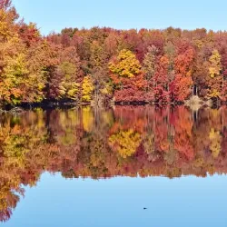 Plainsboro Preserve Nature Center - Plainsboro