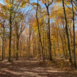 Plainsboro Preserve Nature Center - Plainsboro