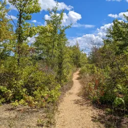 Plainsboro Preserve Nature Center - Plainsboro