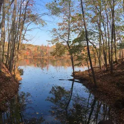 Plainsboro Preserve Nature Center - Plainsboro