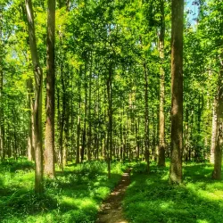 Plainsboro Preserve Nature Center - Plainsboro