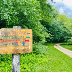 Plainsboro Preserve - Plainsboro