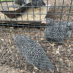 Terhune Orchards - Plainsboro