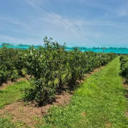 Terhune Orchards - Plainsboro