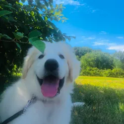 Village Park - Plainsboro