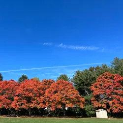 Village Park - Plainsboro