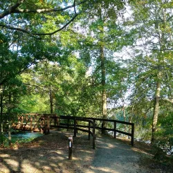 Village Park - Plainsboro