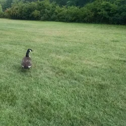Village Park - Plainsboro