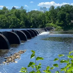 Delaware and Raritan Canal State Park - Princeton