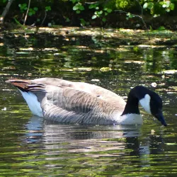 Delaware and Raritan Canal State Park - Princeton