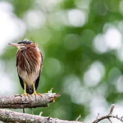 Delaware and Raritan Canal State Park - Princeton