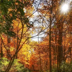 Princeton Battlefield State Park - Princeton