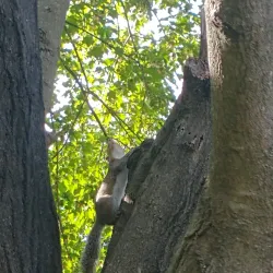 Princeton Cemetery - Princeton