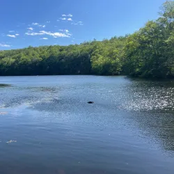 Ramapo Valley County Reservation - Ramsey