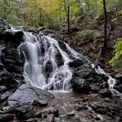Ramapo Valley County Reservation - Ramsey