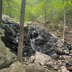 Ramapo Valley County Reservation - Ramsey