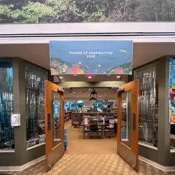 Ramsey Public Library - Ramsey