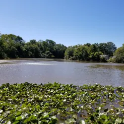 Wampum Lake Park - Ramsey