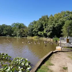 Wampum Lake Park - Ramsey