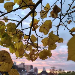 Riverside Gardens Park - Red Bank