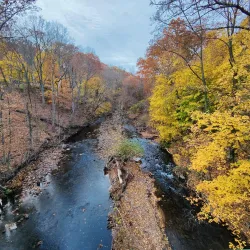 Ho-Ho-Kus Brook Reservation - Ridgewood