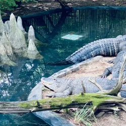 Bergen County Zoo (nearby) - Saddle Brook