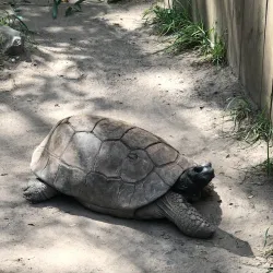 Bergen County Zoo (nearby) - Saddle Brook