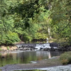 Saddle River County Park - Saddle Brook