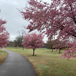 Saddle River County Park - Saddle Brook