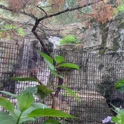 Van Saun County Park (nearby) - Saddle Brook