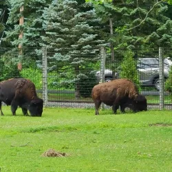 Van Saun County Park (nearby) - Saddle Brook