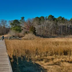 Cheesequake State Park - Sayreville