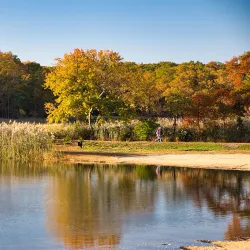 Cheesequake State Park - Sayreville
