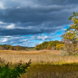 Cheesequake State Park - Sayreville