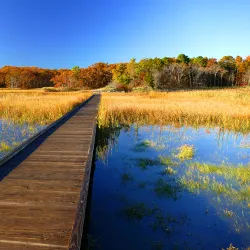 Cheesequake State Park - Sayreville