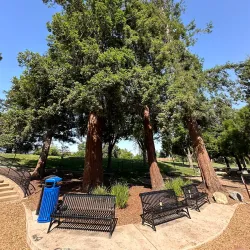 Morgan Playground - Sayreville