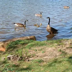 Sayreville War Memorial Park - Sayreville