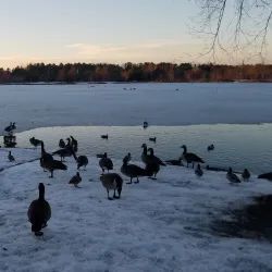 Sayreville War Memorial Park - Sayreville