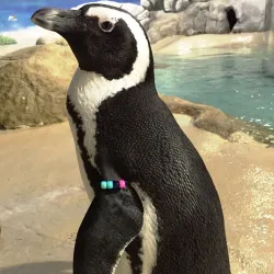 Jenkinson's Aquarium - Seaside Heights